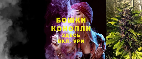 ПСИЛОЦИБИНОВЫЕ ГРИБЫ Иннополис
