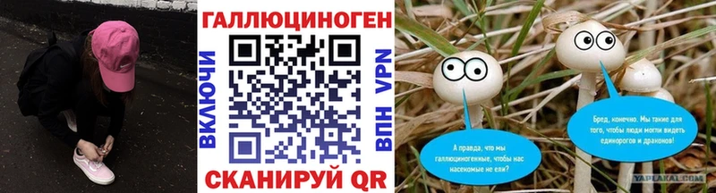 Псилоцибиновые грибы Psilocybe  Нерчинск 